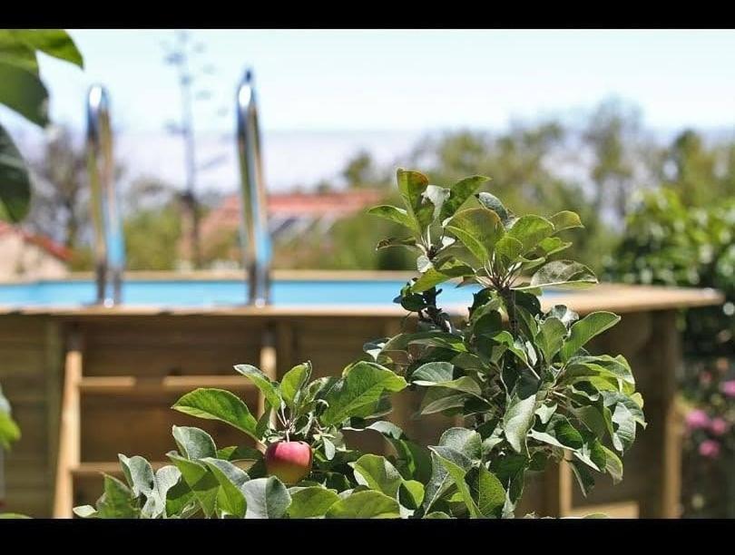 Casa Rosales With Pool & Wifi Villa Puntagorda  Luaran gambar